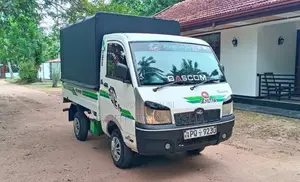 Mahindra Maxximo 2011 Lorry (Used)