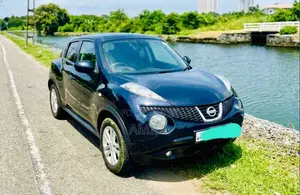 Nissan Juke 2010 SUV (Used)