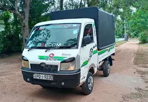 Mahindra Maxximo 2011 Lorry (Used)