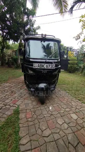 TVS King 2015 Three Wheel (Used)