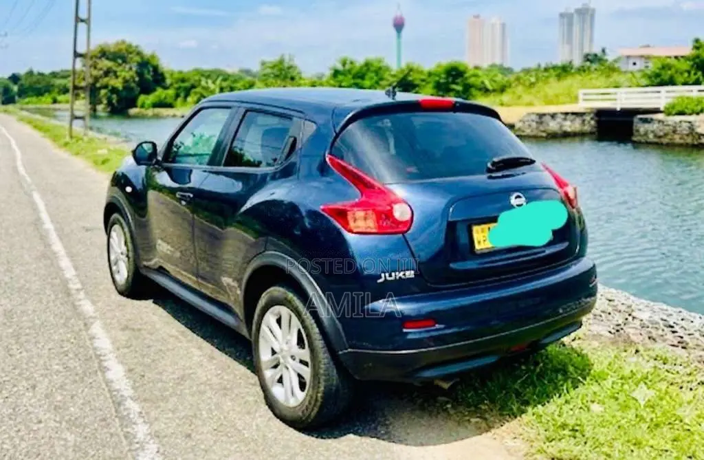 Nissan Juke 2010 SUV (Used)