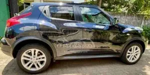 Nissan Juke 2010 SUV (Used)