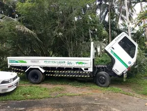 Isuzu Elf 14.5 1993 Lorry (Used)