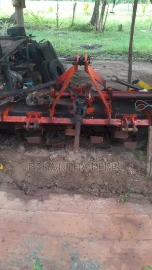 TAFE Tractor 2020 Tractor (Used)