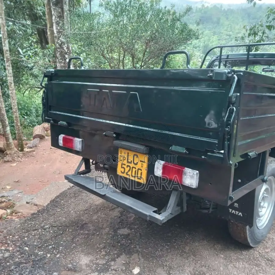 Tata 207 2006 Pickup (Used)