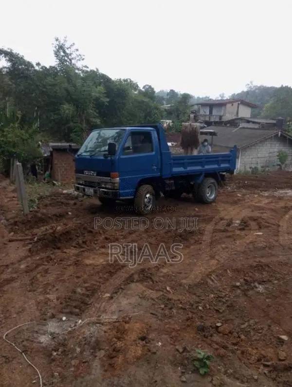 Isuzu Tipper 1980 Lorry (Used)
