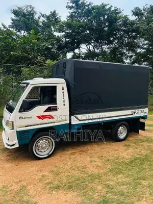 Foton Double 2013 Lorry (Used)