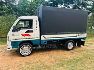 Foton Double 2013 Lorry (Used)