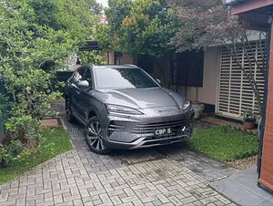 BYD Sealion 06 DM-i 2025 Gray