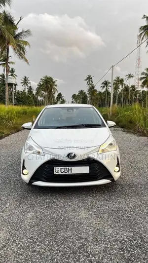 Toyota Vitz Safety Edition 3 2019 Car (Used)