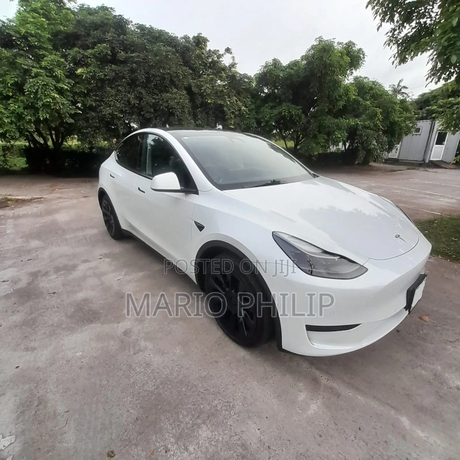 Tesla Model Y Performance 2024 White