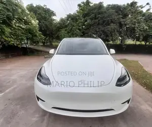 Tesla Model Y Performance 2024 White