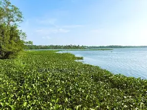 Water Front Land for Sale in Bolgoda
