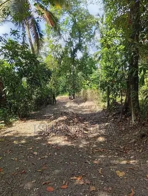Land for Sale in Kadawatha