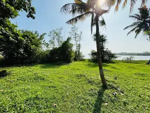 Water Front Land for Sale in Bolgoda