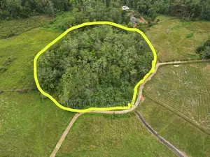 ඉමදූව නගරයෙන් අගනා ඉඩමක්