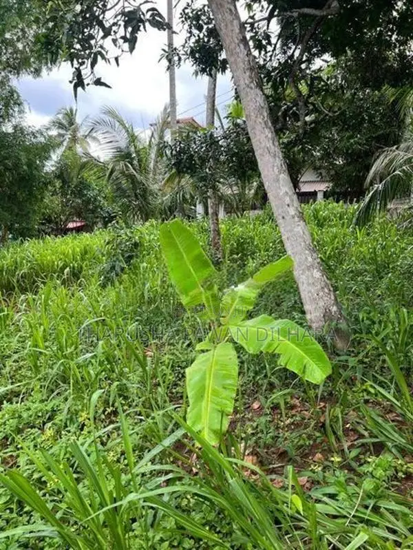 ඉඩමක් විකිණීමට - හුන්නදෙණිය
