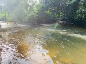 Hadapangodaon මාවක් ඔයට මුහුණලා විකිණීමට අගනා බිම් කොටස්