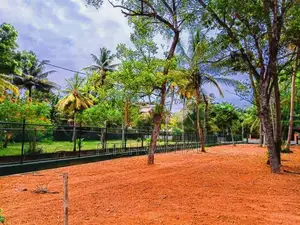 මිදිගම සංචාරක පාරාදීසයෙන් හොඳ බිම් කොටසක්