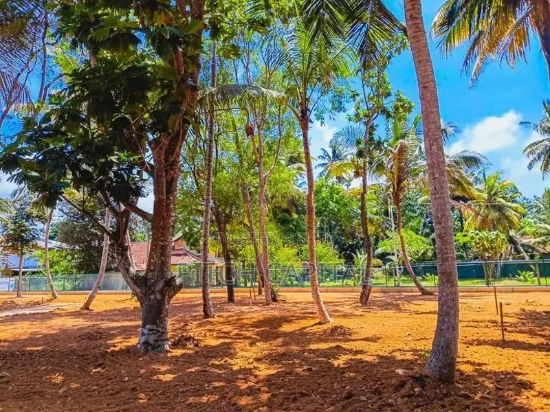 Weligama Midigama Beach Face Land Plot