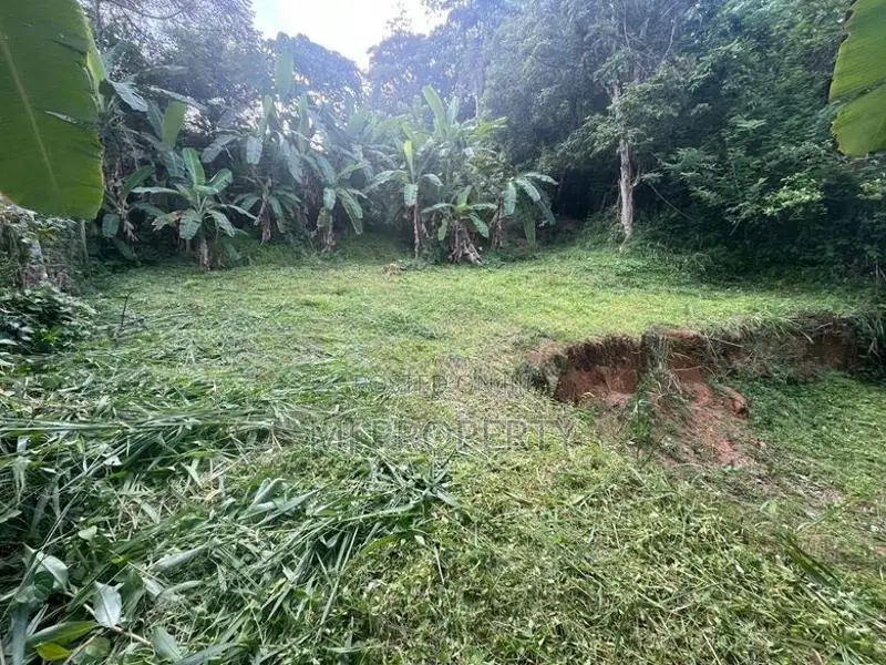 ( TS-1152) Valuable Commercial Land For Sale in Godagama