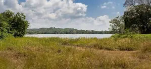 Dambulla 53 Acre Land for Sale ( 15 Minutes to Sigiriya Town )
