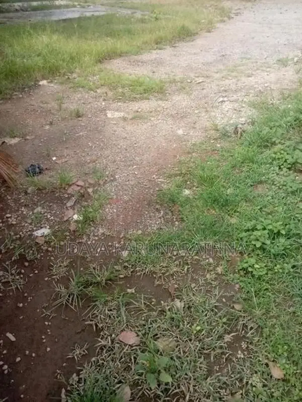 Land for Sale Wallampitiya
