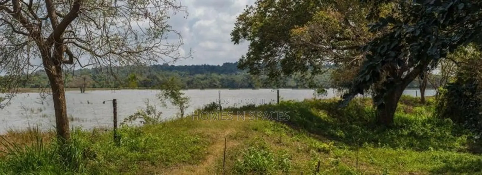 Dambulla 53 Acre Land for Sale ( 15 Minutes to Sigiriya Town )
