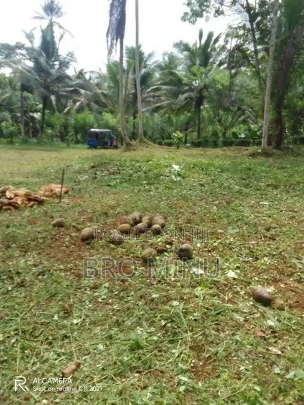 Land for Sale in Hanwella