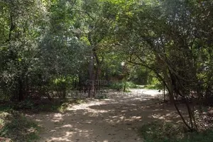 Dambulla 53 Acre Land for Sale ( 15 Minutes to Sigiriya Town )