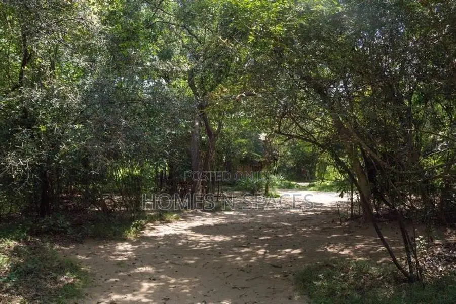 Dambulla 53 Acre Land for Sale ( 15 Minutes to Sigiriya Town )