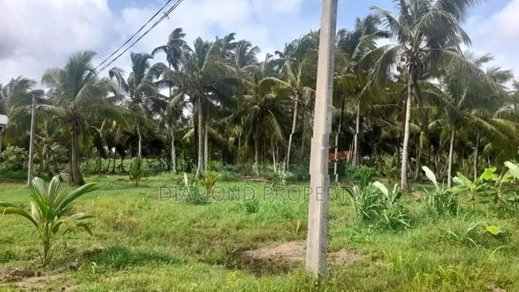අක්කර 5 ½ ක පොල් ඉඩමක් විකිණීමට - Werapokuna