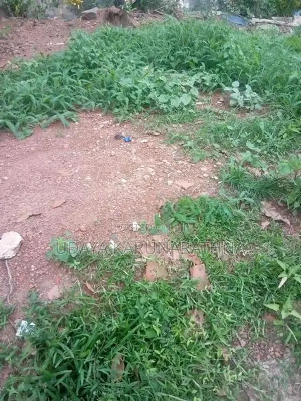 Land for Sale Wallampitiya