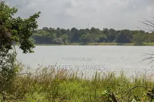 Dambulla 53 Acre Land for Sale ( 15 Minutes to Sigiriya Town )