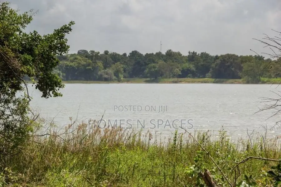 Dambulla 53 Acre Land for Sale ( 15 Minutes to Sigiriya Town )