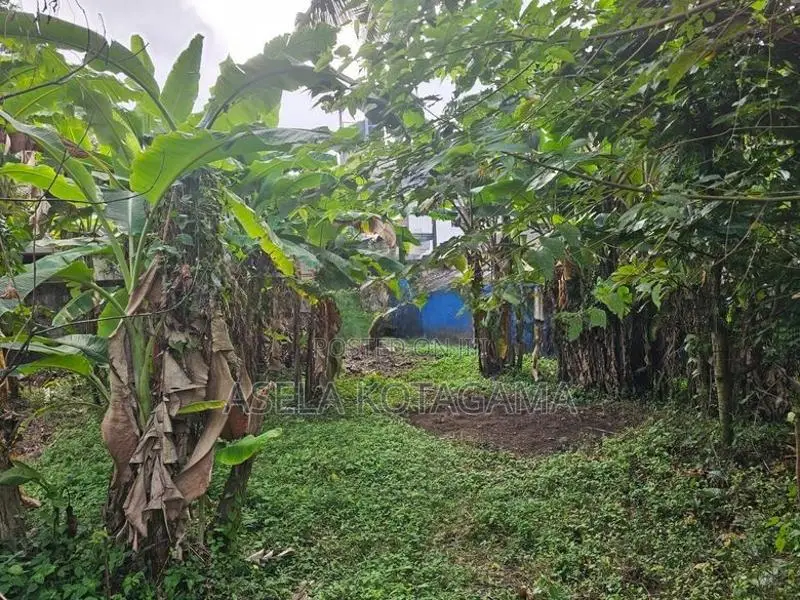 Land for Sale – Homagama