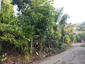 Land For Sale in Balapitiya (SSPL-456)
