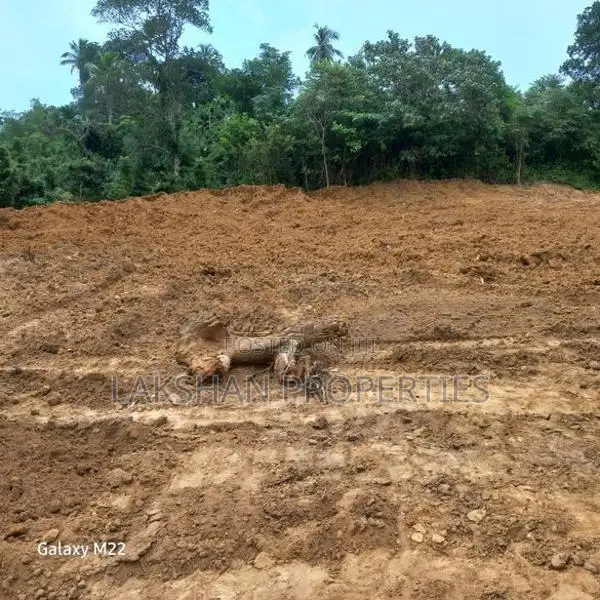 Land For Sale In රත්නපුර