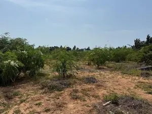 Land for Sale Valvettithurai