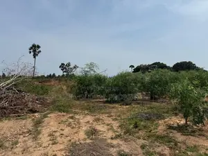 Land for Sale Valvettithurai