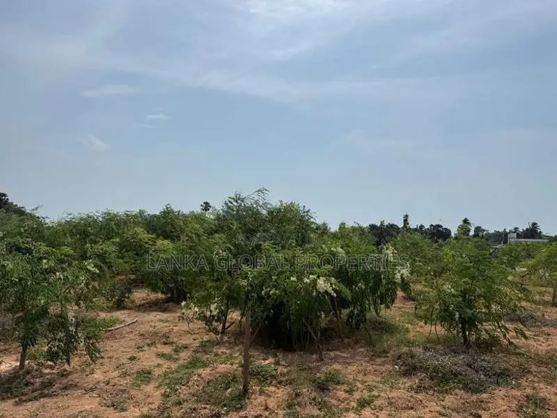 Land for Sale Valvettithurai