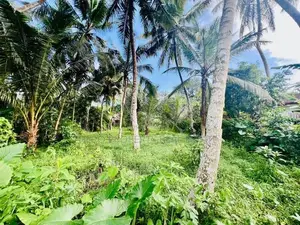 Valuable Land for Sale in Homagama