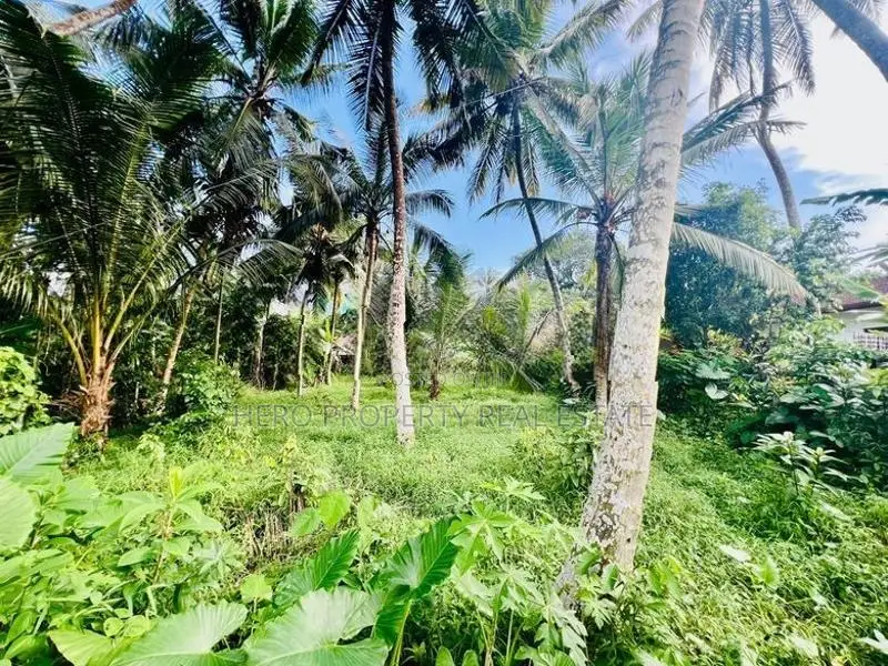 Valuable Land for Sale in Homagama