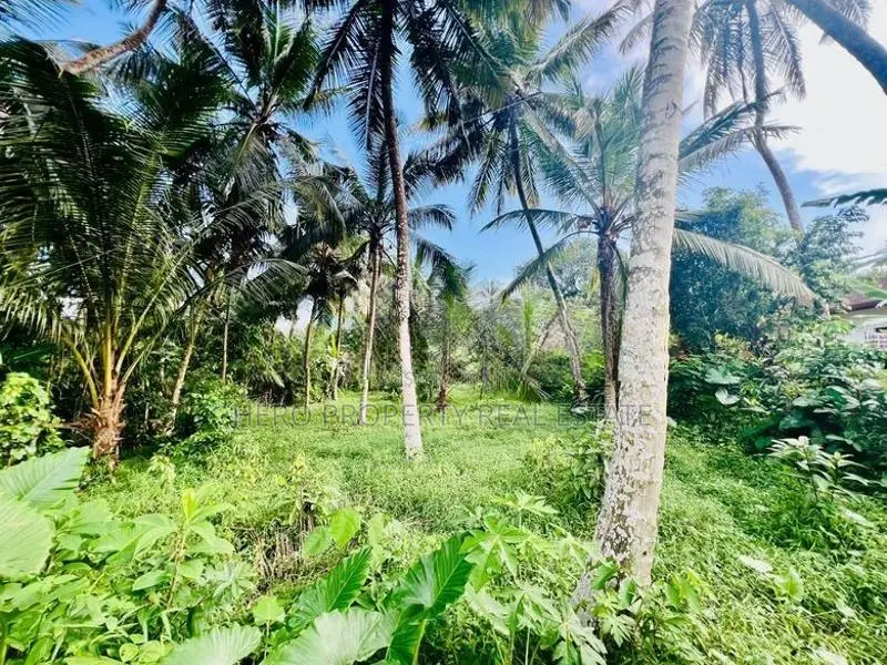 Valuable Land for Sale in Homagama