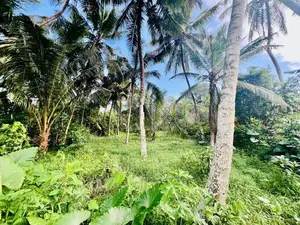 Valuable Land for Sale in Homagama