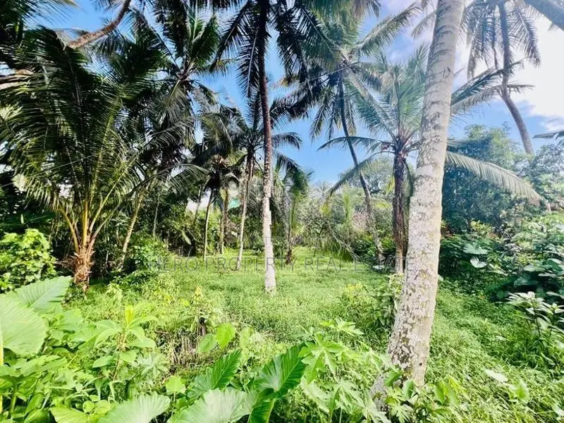 Valuable Land for Sale in Homagama