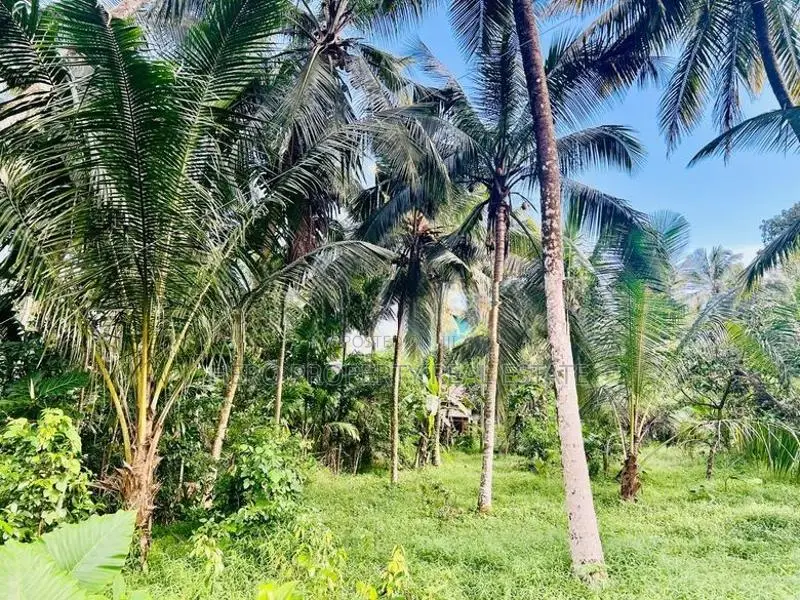 Valuable Land for Sale in Homagama