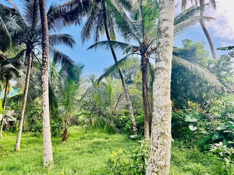 Valuable Land for Sale in Homagama