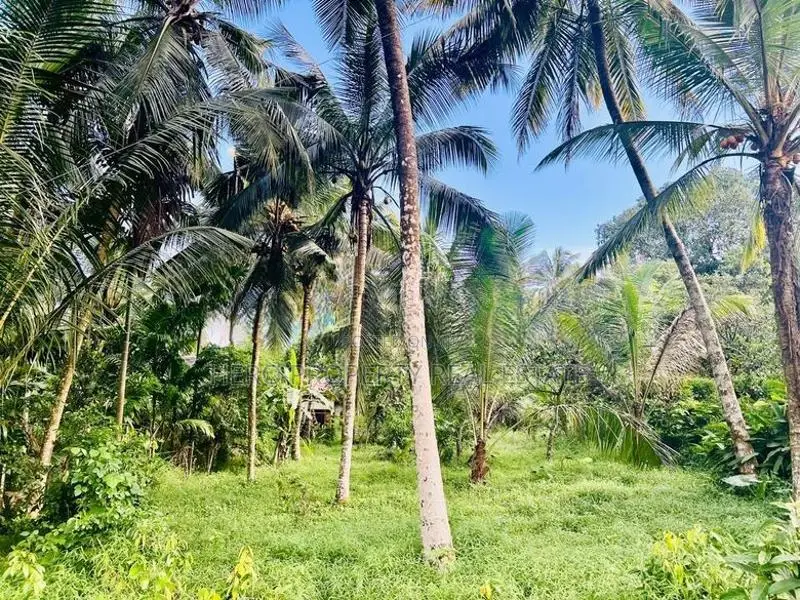 Valuable Land for Sale in Homagama