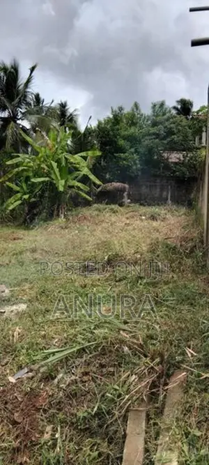 Godagama 7 Perch Land for Sale